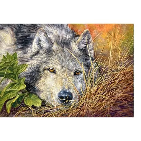 Castorland Dėlionė Pure Soul 500 Det