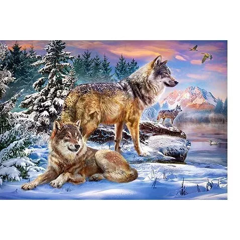 Castorland dėlionė Wolfish Wonderland 500 det.
