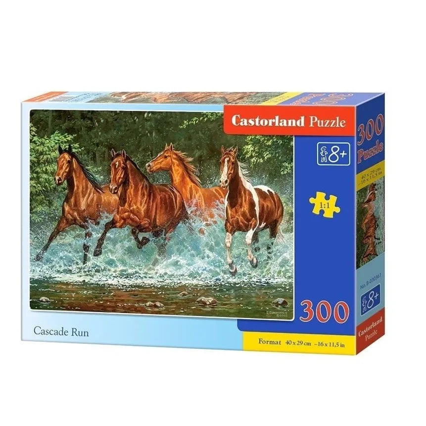 Castorland dėlionė Cascade Run 300 det