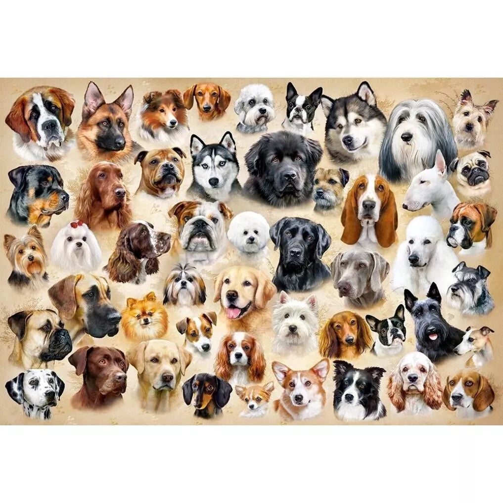 Castorland dėlionė Collage with Dogs 1500 det.