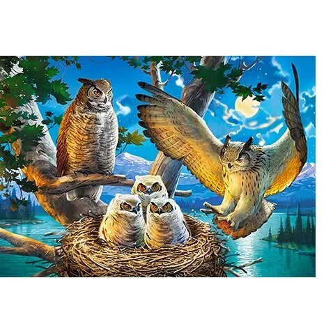 Castorland dėlionė Owl Family 500 det