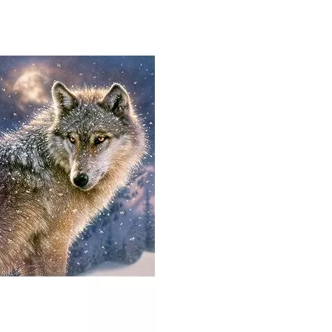 Castorland dėlionė Lone Wolf 500 det.