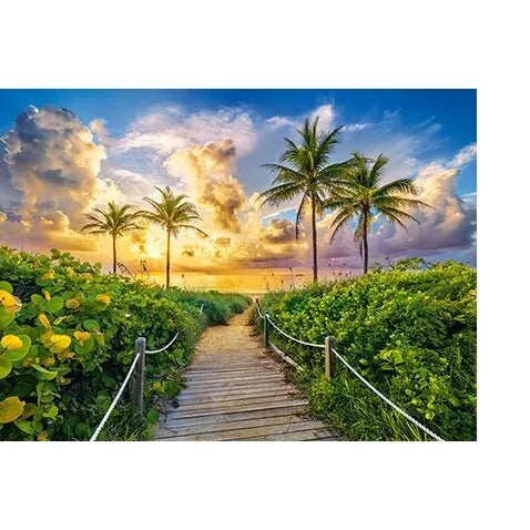 Castorland dėlionė Colorful Sunrise in Miami,USA 3000 det.