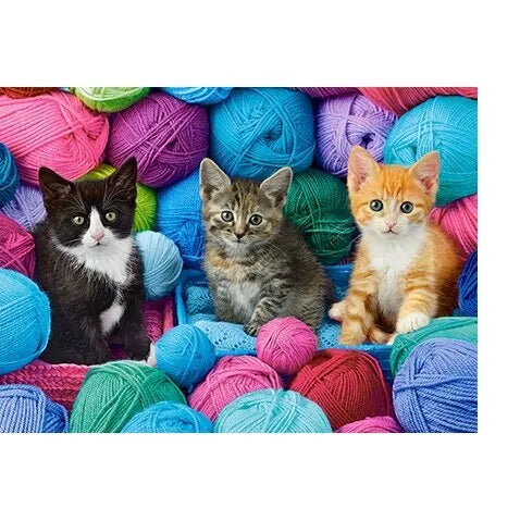 Castorland Dėlionė Kittens In Yarn Store 300 Det.