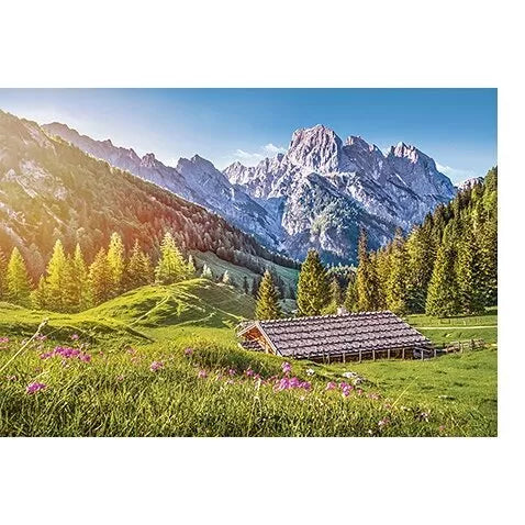 Castorland dėlionė Summer in the Alps 500 det.