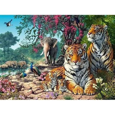 Castorland dėlionė Tiger Sanctuary 3000 det.