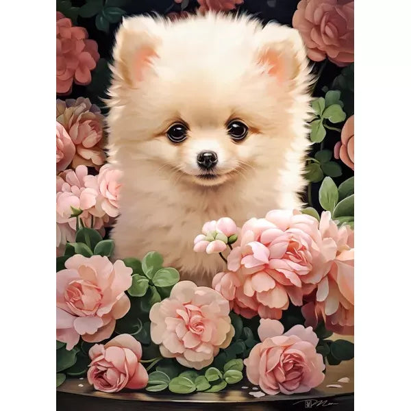 Castorland dėlionė Pomeranian Puppy in Roses 300 det.