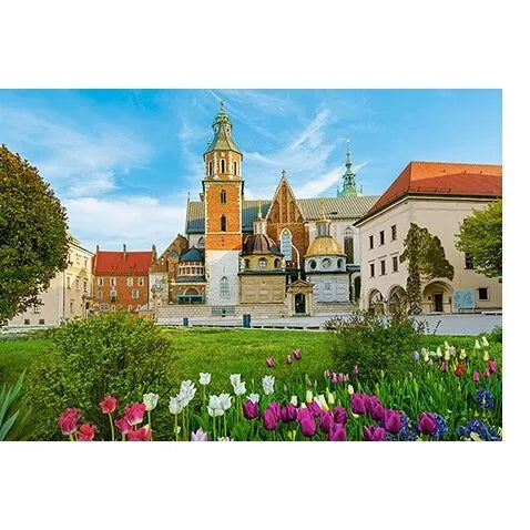 Castorland Dėlionė Wawel Castle In Krakow, Poland 500 Det