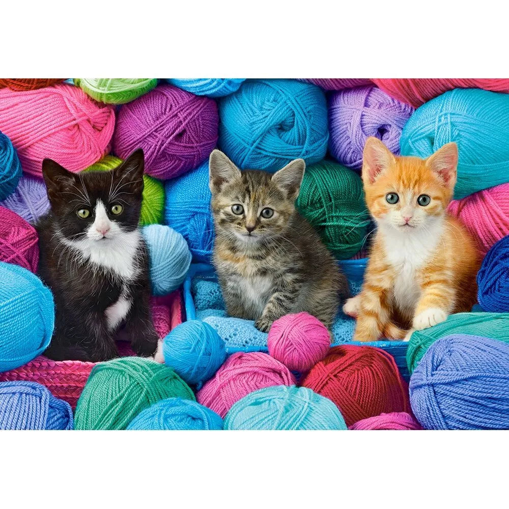 Castorland dėlionė Kittens In Yam Store 1000 det.