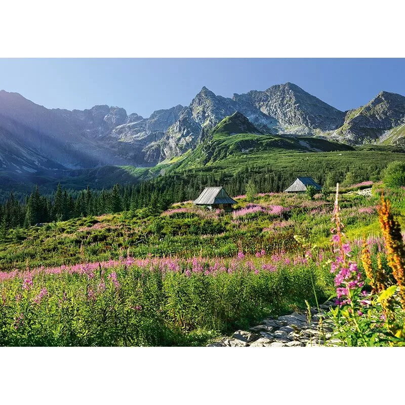 CherryPazzi dėlionė Gasienicowa hall in Tatras 1000 det.