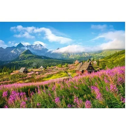 Castorland dėlionė Hala Gasienicowa, Tatras, Poland 1000 det.