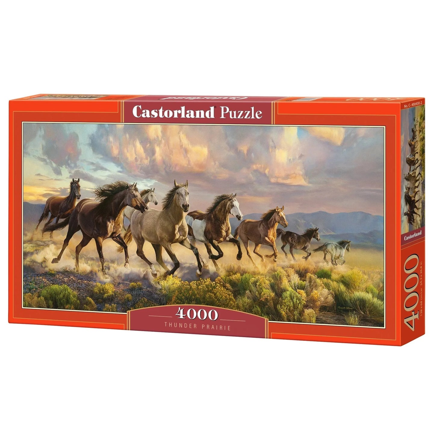 Castorland dėlionė ART kolekcija Thunder Prairie 4000 det.