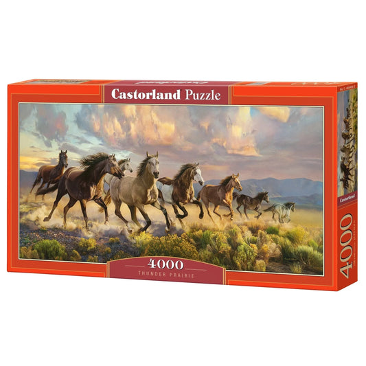 Castorland dėlionė ART kolekcija Thunder Prairie 4000 det.