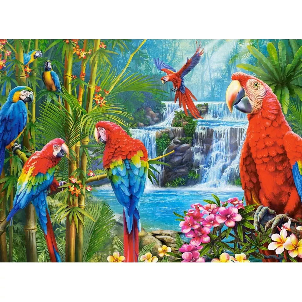 Castorland dėlionė Parrot Meeting 2000 det.