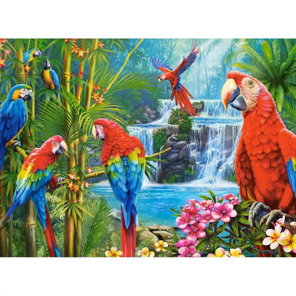 Castorland dėlionė Parrot Meeting 2000 det.