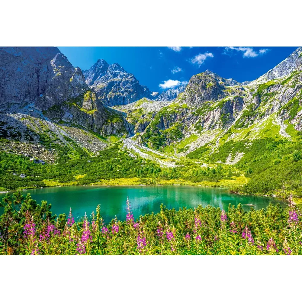 Castorland dėlionė Zelene Pleso Tatras Slovakia 1000 det.