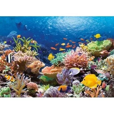 Castorland dėlionė Coral Reef Canada 1000 det.