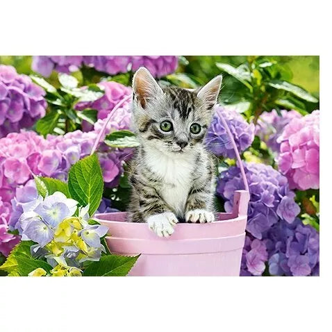Castorland dėlionė Kitten In Basket 1500 det.