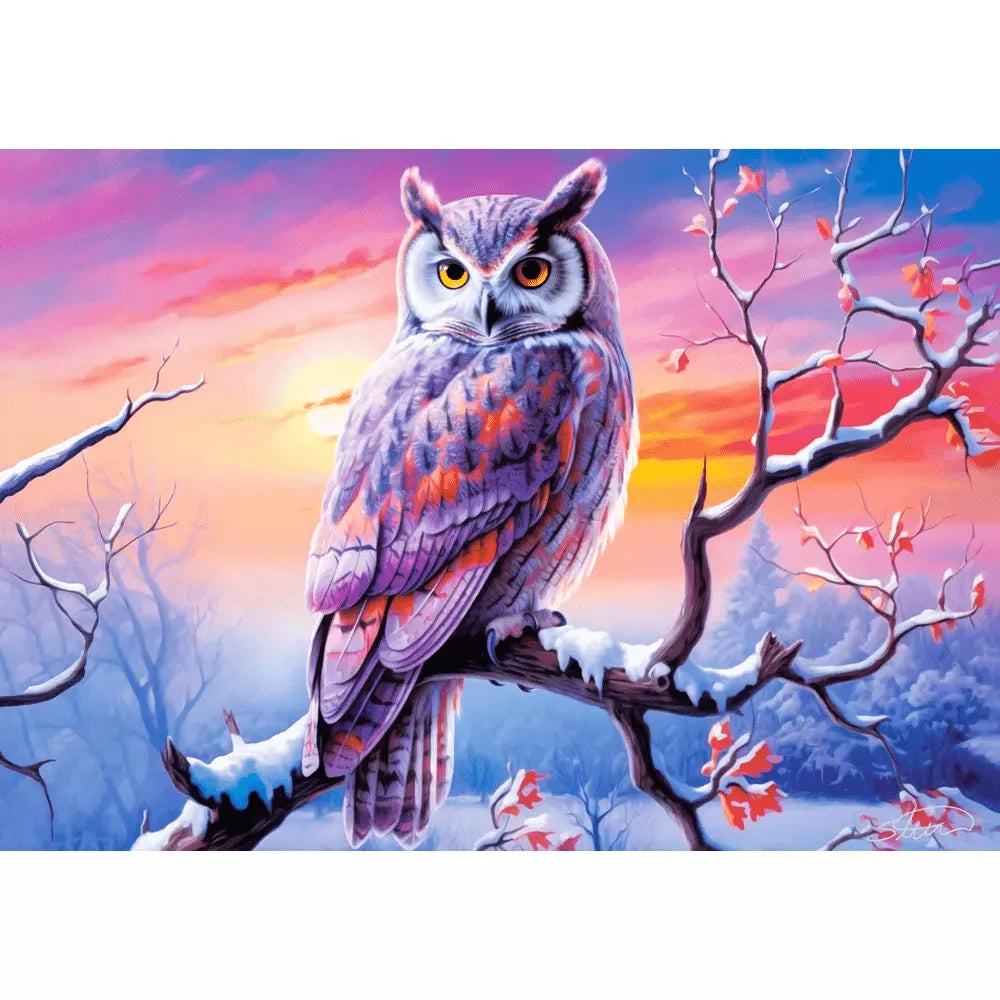 Castorland dėlionė Owls Perfect Evening 500 det
