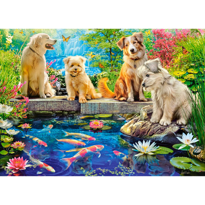 Castorland dėlionė Koi Pond 120 det