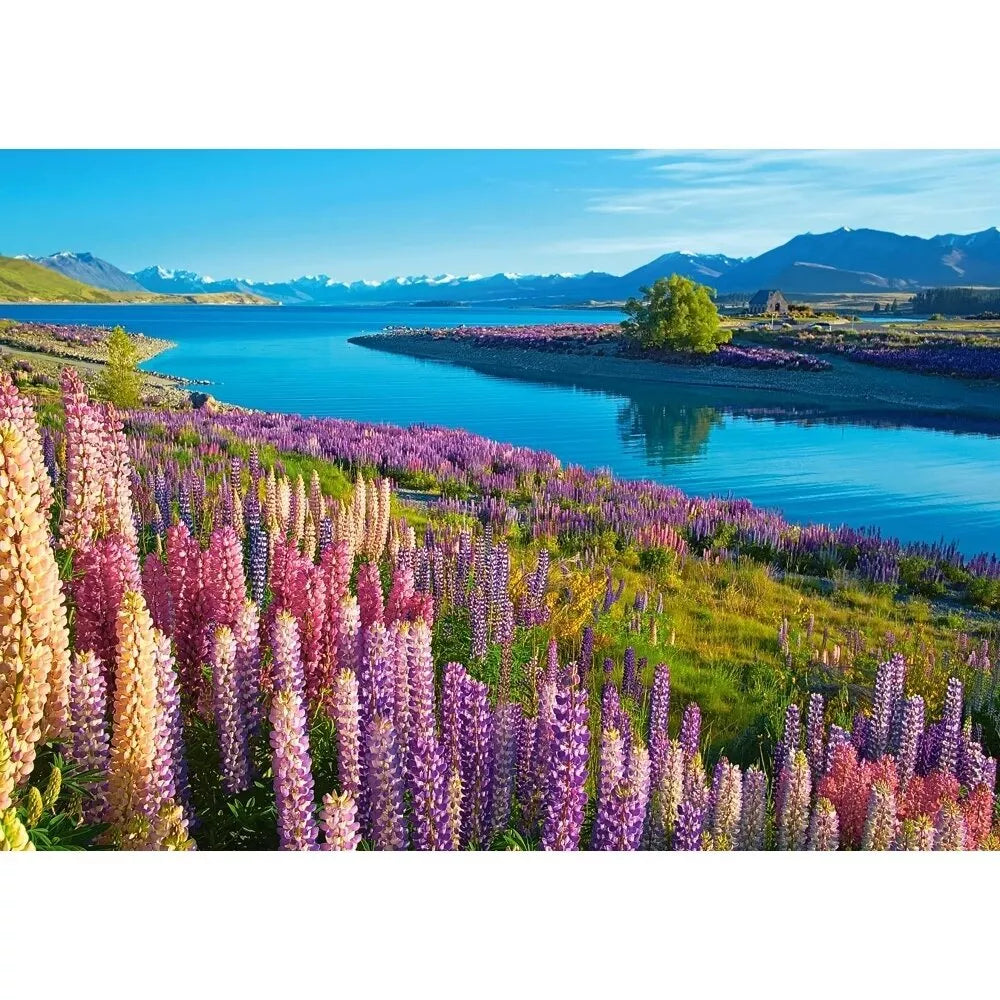 Castorland dėlionė Lake Tekapo New Zealand 500 det.
