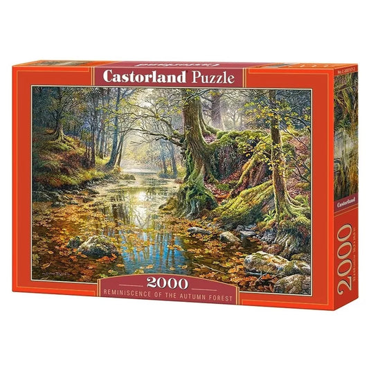 Castorland dėlionė Reminiscence of the Autumn Forest 2000 det