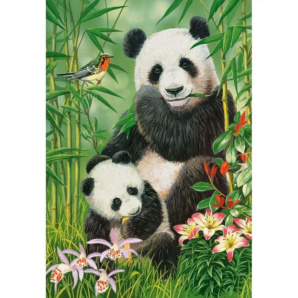 Castorland dėlionė Panda Brunch 1000 det.