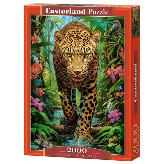 Castorland dėlionė Leopard in the Wild 2000 det.