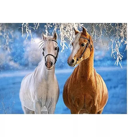 Castorland dėlionė THE WINTER HORSES 260 det.