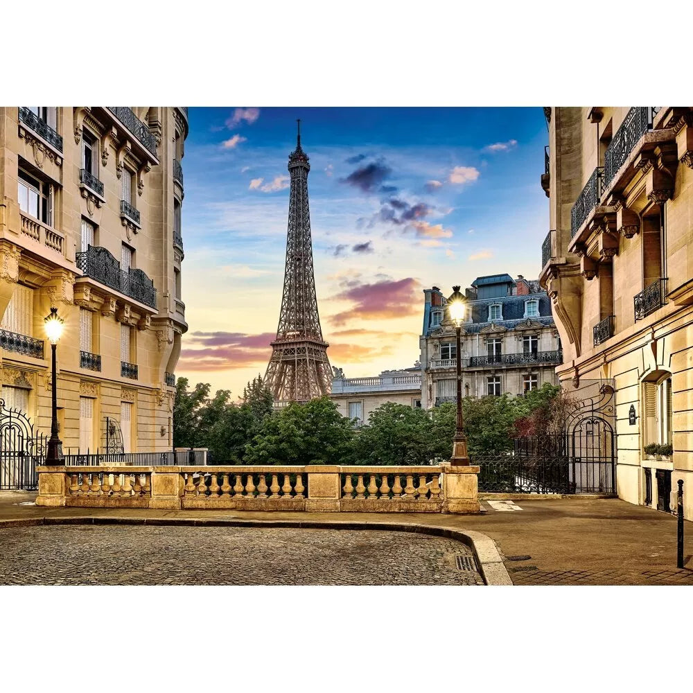 Castorland dėlionė Walk in Paris at Sunset 1000 det.