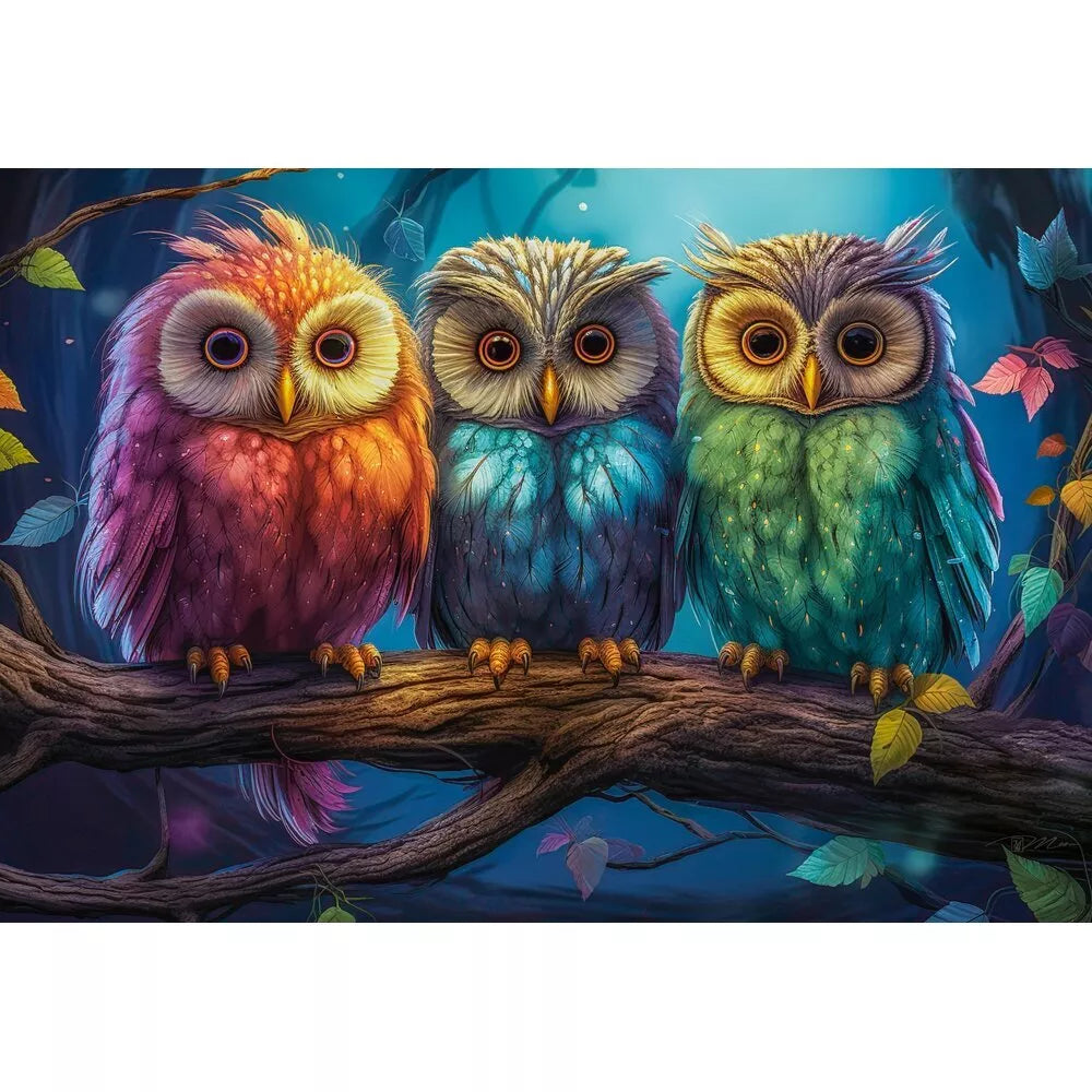 Castorland dėlionė Three Little Owls 1000 det.