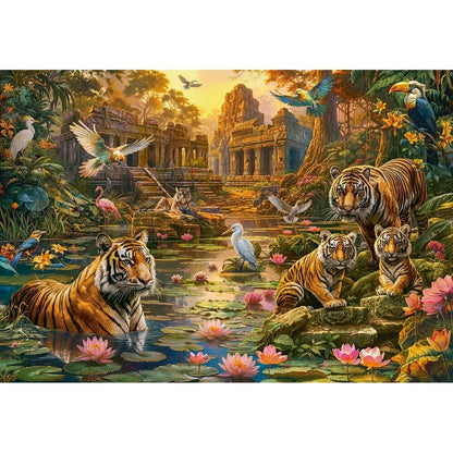 Castorland dėlionė  Tigers Paradise 1000 det.