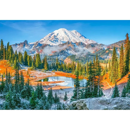 Castorland dėlionė Mount Rainier National Park, USA 1000 det