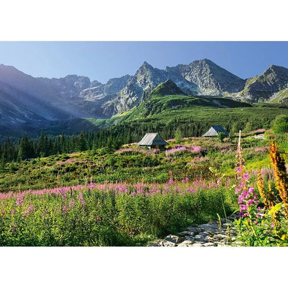 CherryPazzi dėlionė Gasienicowa  hall in Tatras 1000 det.