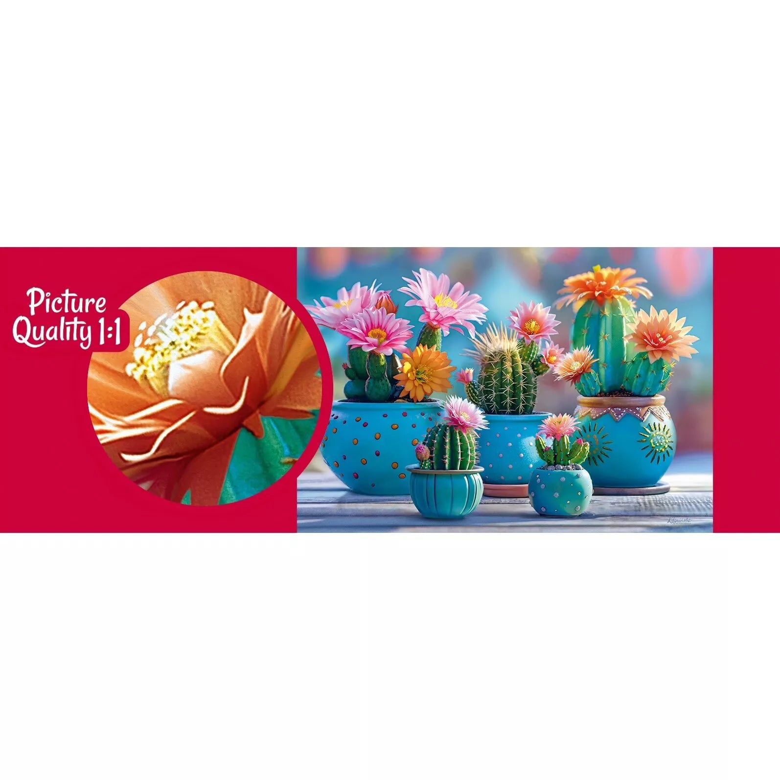 CherryPazzi dėlionė Bloomy Cactus Fireworks 1000 det