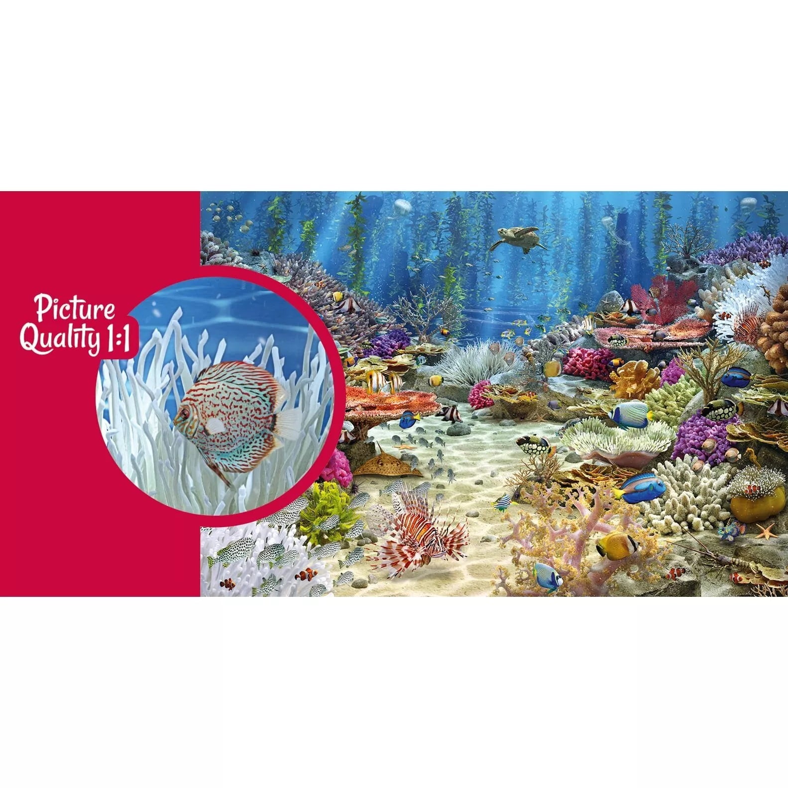 CherryPazzi dėlionė Coral Reef Paradise 2000 det.