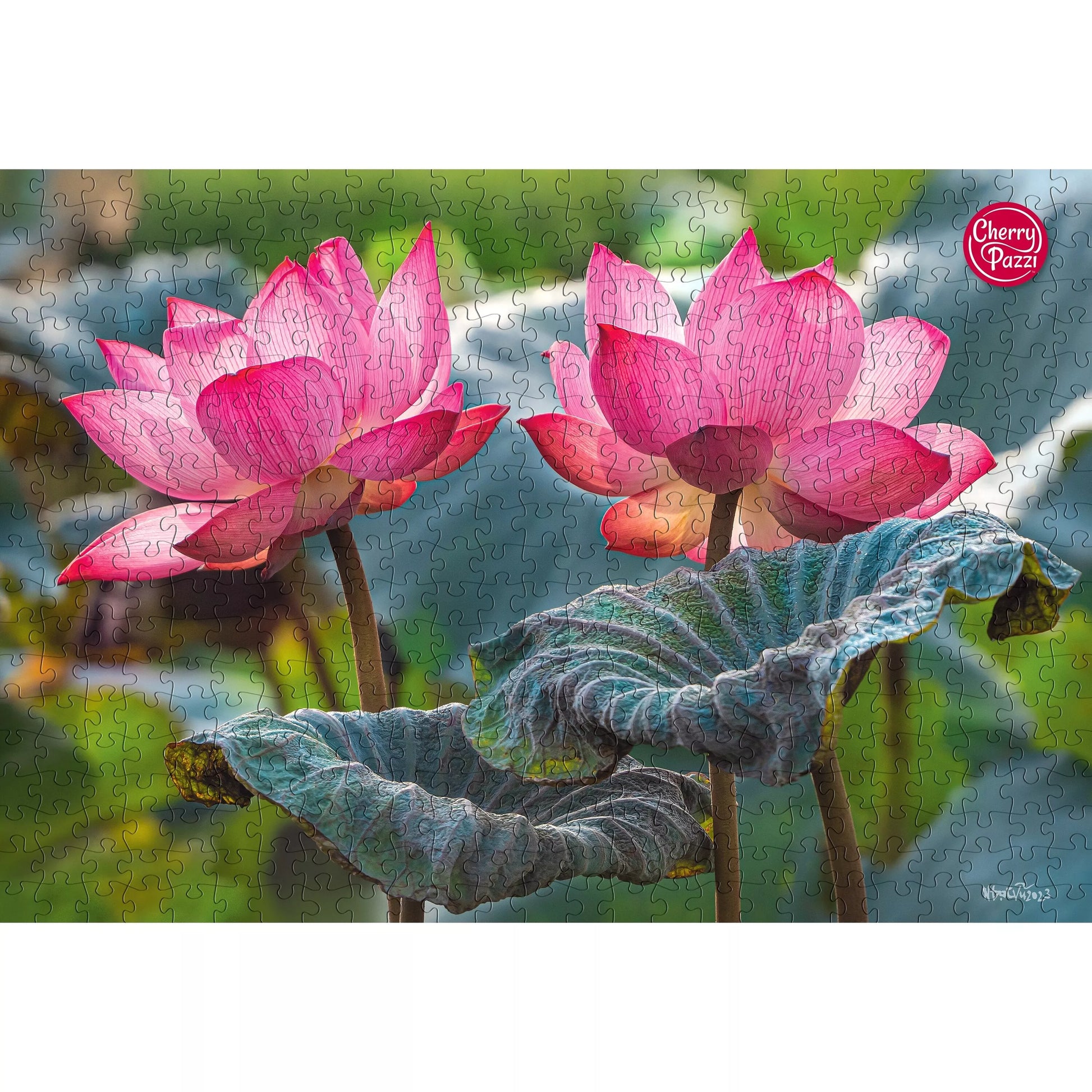 CherryPazzi dėlionė Pink Lotus flowers 500 det